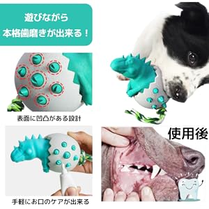 Amazon | EU SOU 犬 噛むおもちゃ 恐竜 ボール 犬用 おもちゃ 歯磨き