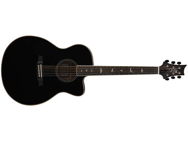 Amazon.com: PRS SE A20E Acoustic Electric, Black with Gig Bag