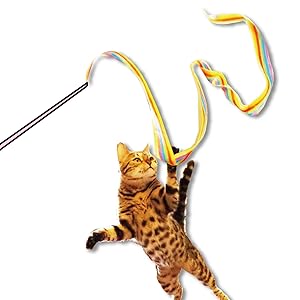 Amazon | キャティーマン (CattyMan) じゃれ猫 りぼんの舞