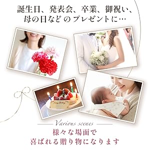 Amazon | ouvrepop11 バルーンアレンジ ミントグリーン シャンパン