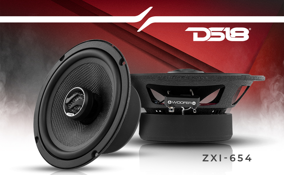 Amazon.com: DS18 ZXI-654 6.5