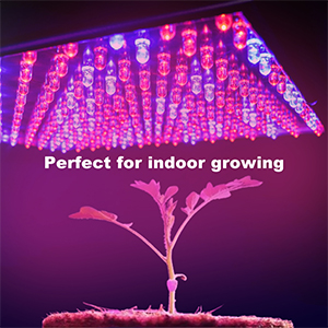 Amazon.com : HQRP 14W 225 LED Blue + Red Spectrum Hydroponic Plant