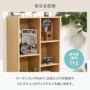 Amazon.co.jp: 不二貿易 フリーボックス カラーボックス 2列 幅59×奥行