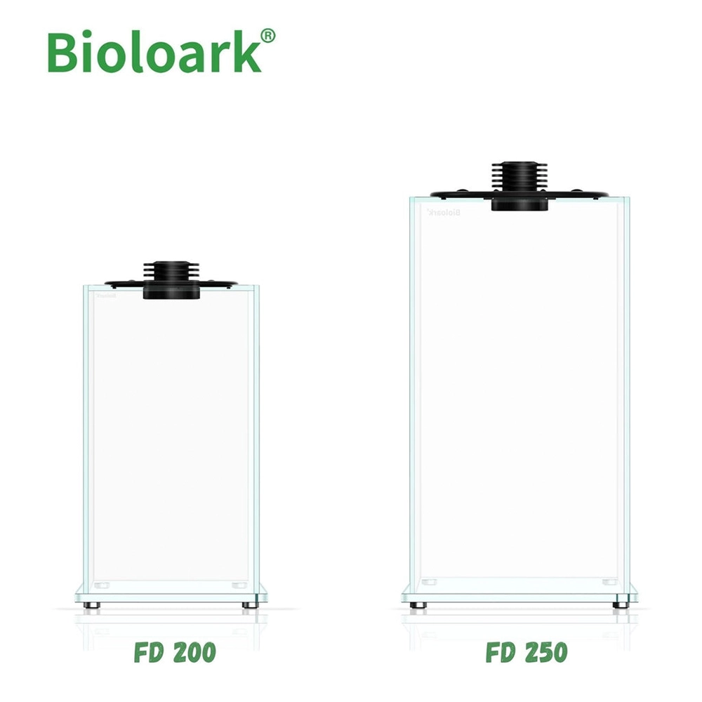 Bioloark Bio Bottle Terrarium - Cape Town - South Africa