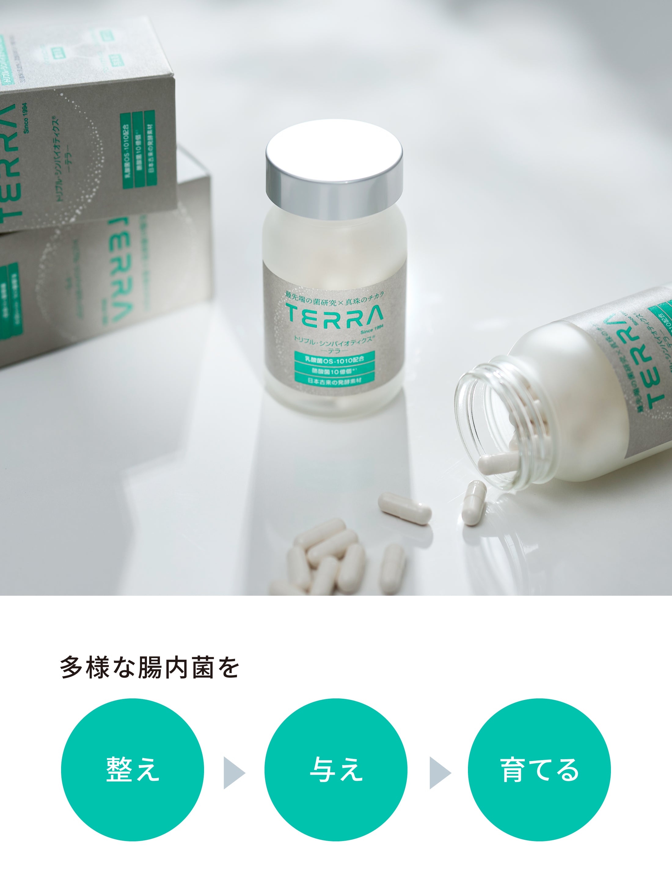 TERRA(テラ) 次世代腸活美肌サプリメント – madama・hada