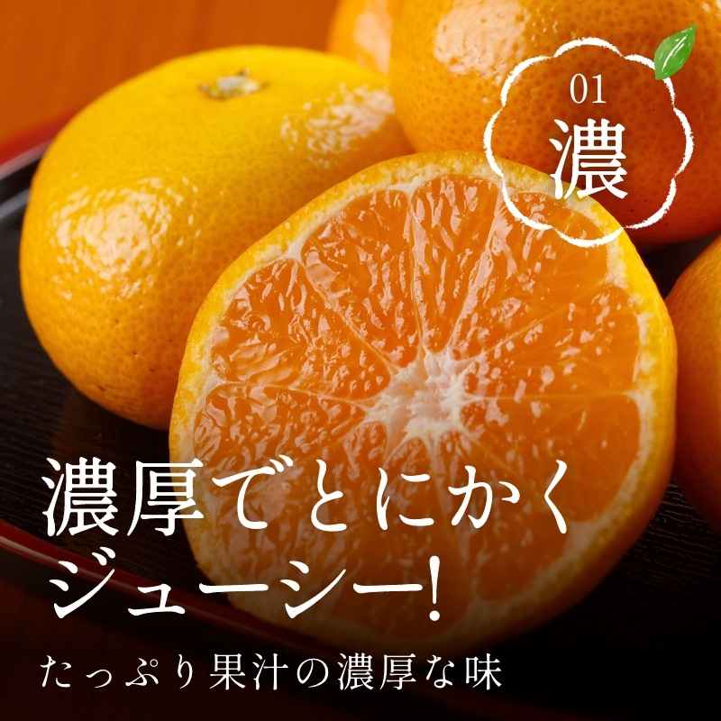 訳あり】三ケ日みかん「早生（わせ）」8kg（サイズ不選別） - 浜名湖