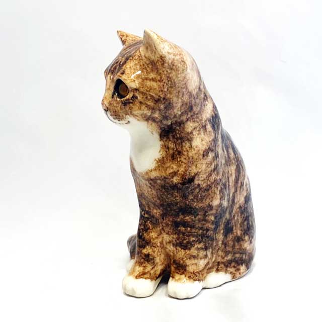 ウィンスタンレイキャット離れ目気味のこげ茶色キジトラ白系猫ちゃん