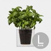 Sky Planter (スカイプランター) / 先端デザイナーズ家具のインテリア