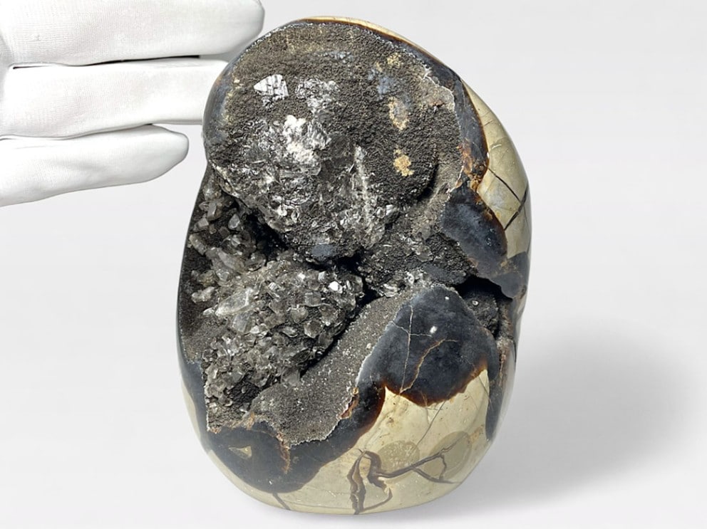 マダガスカル産セプタリアン(亀甲石)/Septarian