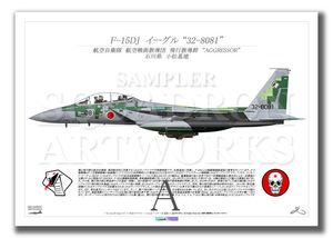 F/A-18F スーパーホーネット VX-9 Vampires “Vandy 1” 166673 （A4