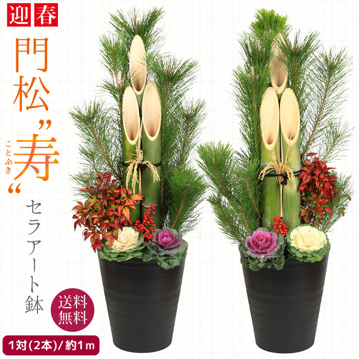 迎春： 天然素材 寿 門松一対*(1m) | 迎春 門松・松竹梅 | 遊恵盆栽 本店
