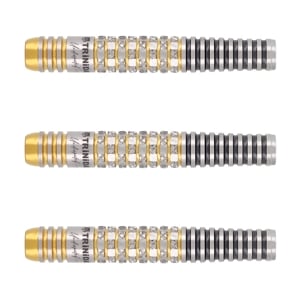 6本セット浅田斉吾TRINIDADトリニダードLopezロペス2定価22000円 ダーツ > ソフトダーツ > ブランド【タ行】 > トリニダード > PRO