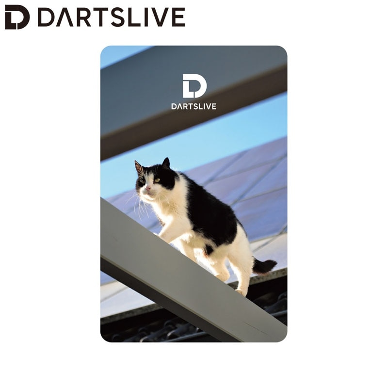 DARTSLIVE Jokerd カード Amazon.co.jp: ダーツライブカード レア DARTSLIVE JOKER ジョーカー
