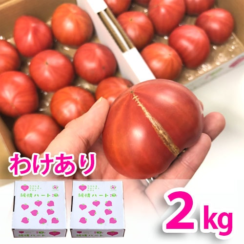 産地直送 わけあり純情ハート3.5kg(糖度7度以上)たかしまフルーティ