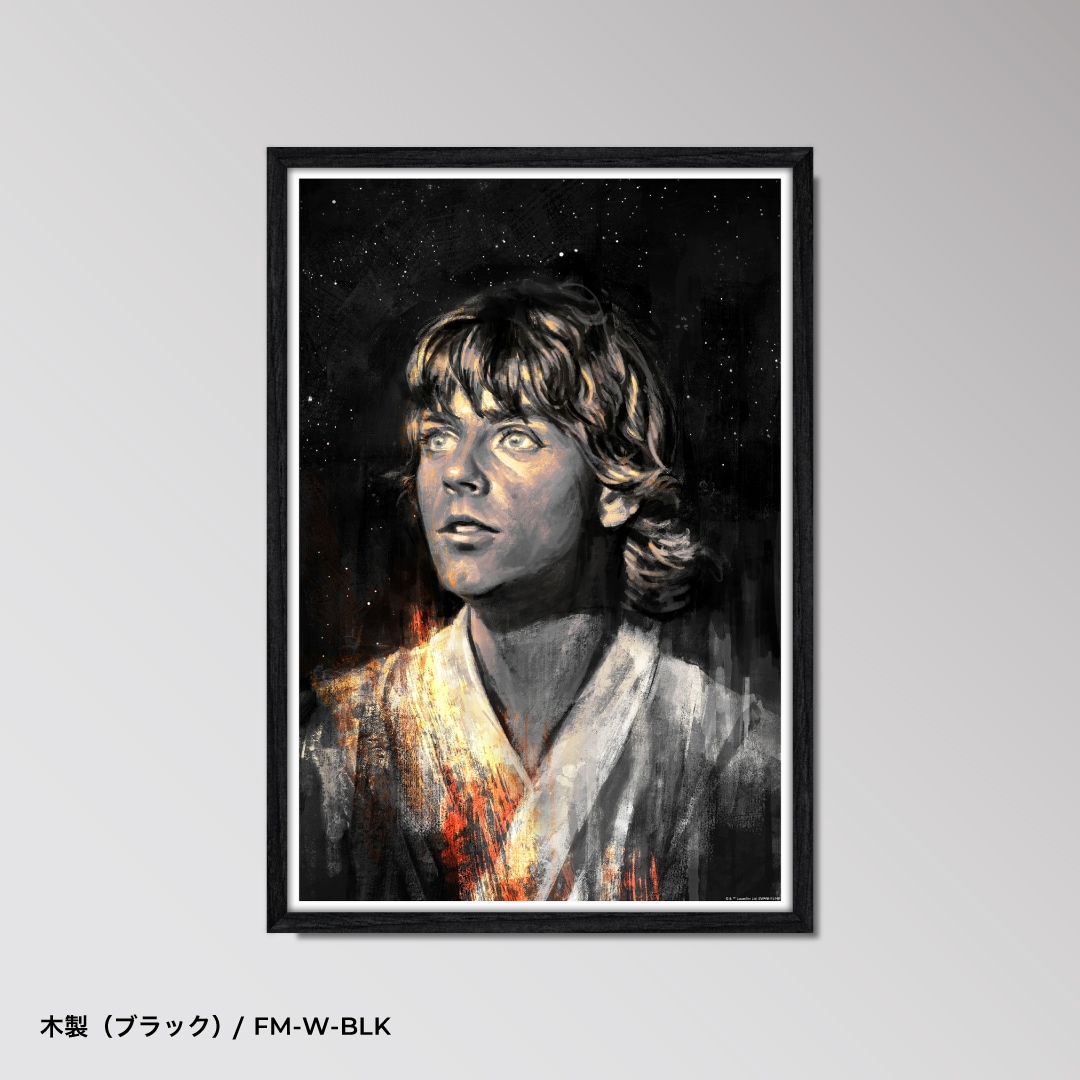 Luke 【スター・ウォーズ】 ｜アートポスター専門店 - FAVART
