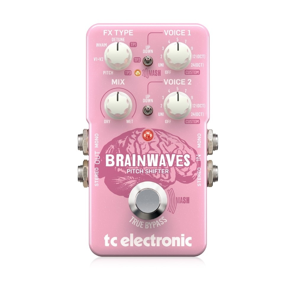 TC ELECTRONIC BRAINWAVES PITCH SHIFTER ピッチシフター Hibino.com