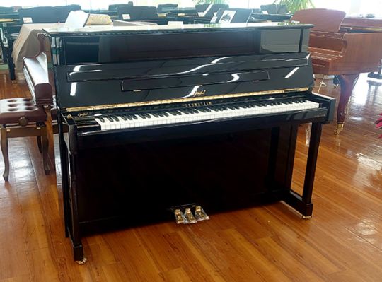 ベヒシュタイン アピアノB116 Accent #209753 【中古品】｜ピアノ