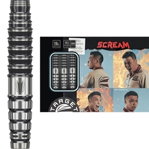 ターゲット SCREAM スクリーム スイスポイント スティール22g 山形明人