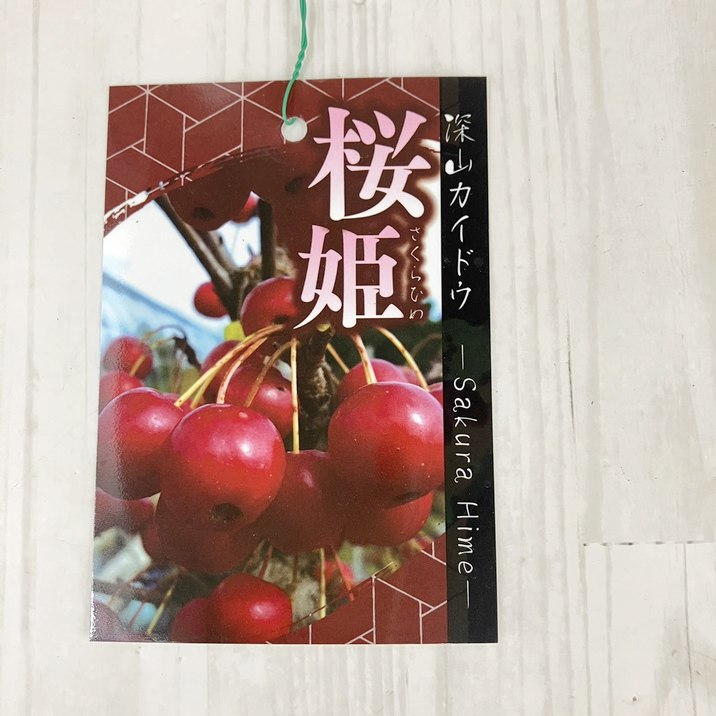 実付き＞姫リンゴ（桜姫） 7号｜果樹10-TU | 果樹 | 赤塚植物園