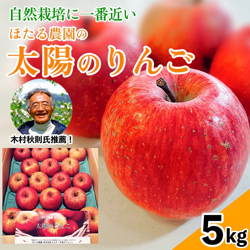 今季終了【在庫限り】太陽のりんご 【5kg】 木村秋則さん推薦