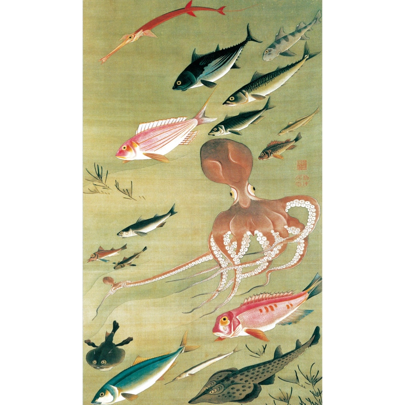 伊藤若冲 動植綵絵 群魚図（蛸） 高級仕様 額 美術品 インテリア 作品