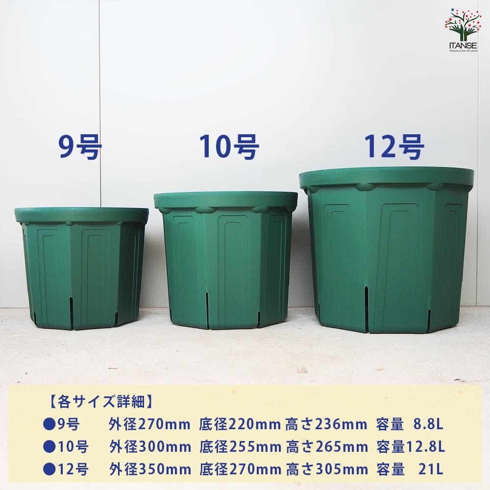 スリット鉢 【プラ鉢 9号】｜ 【植物のITANSE】全品送料無料・即