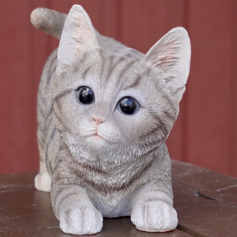 愛くるしいグレーの猫ちゃん
