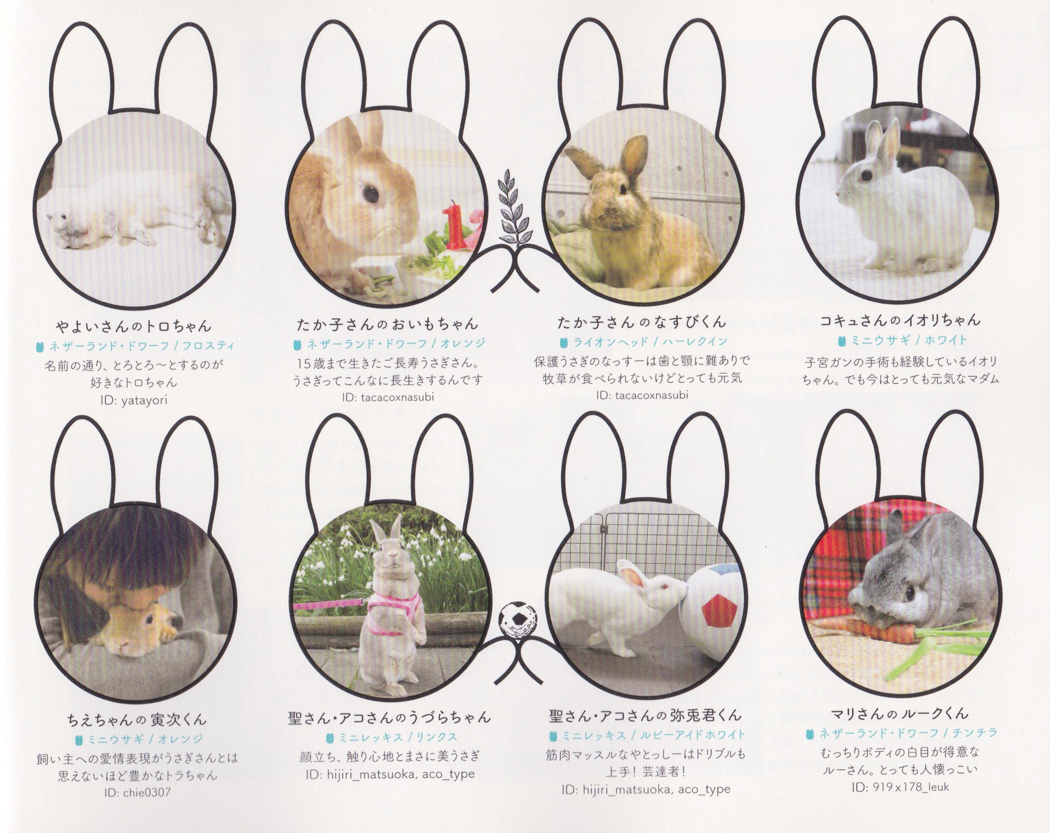 うさぎ様 うさぎ様専用 専用 うさぎ さま 専用☆ うさぎ様専用ページ