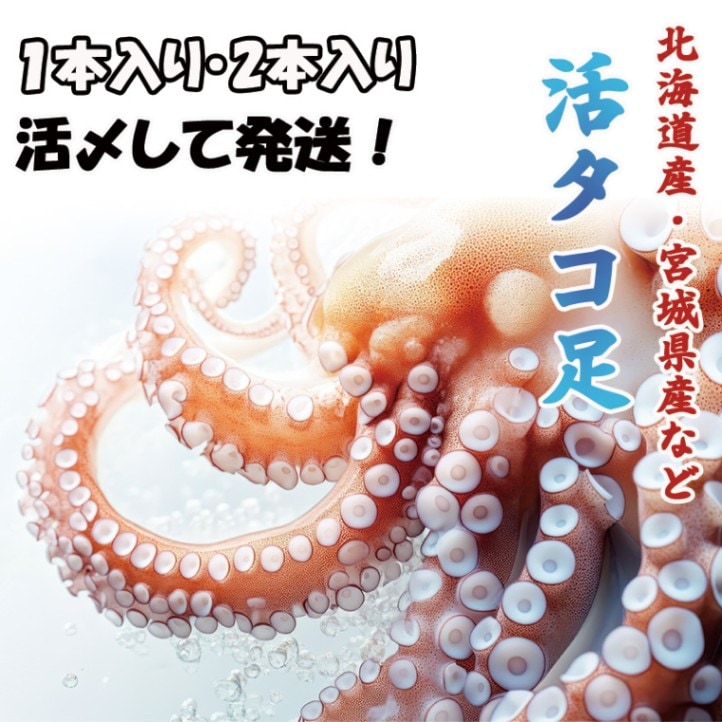 活タコ足 1本入り～ | 活魚 | さかなやマルカ