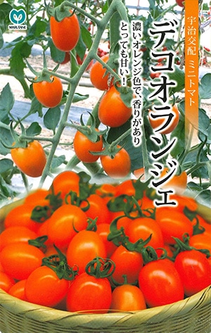 ミニトマト デコオランジェ | 果菜類,トマト,ミニトマト | 丸種