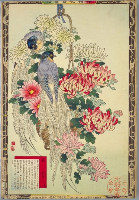 これぞ花鳥画のお手本！江戸〜明治期の日本画家・幸野楳嶺の「楳嶺花鳥