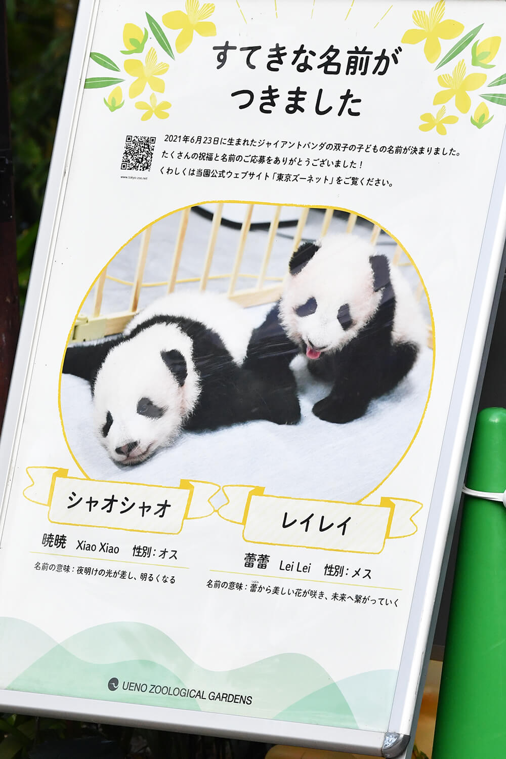 今日のパンダ（2783日目）