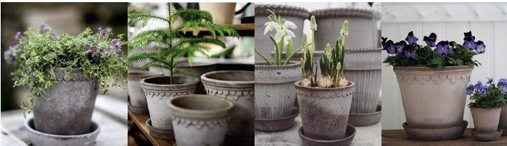ショッピング | ますます屋