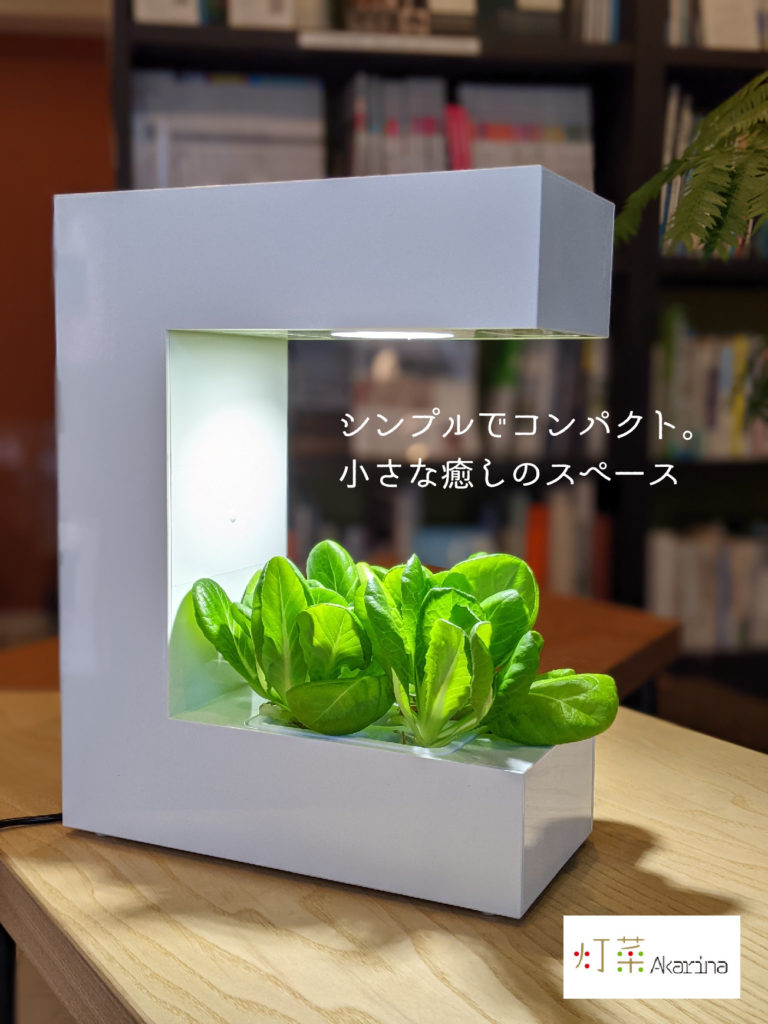 上町まるものがたり | お部屋の中で収穫体験を。野菜を育てる