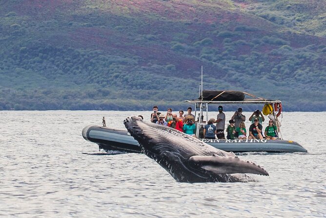 巨大なクジラの骨にビックリ！！ - ホエラーズ ビレッジ ミュージアム