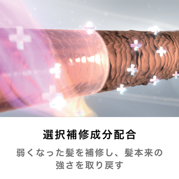 エクストラ ボリューム シャンプー 280mL) ：Amway(日本アムウェイ