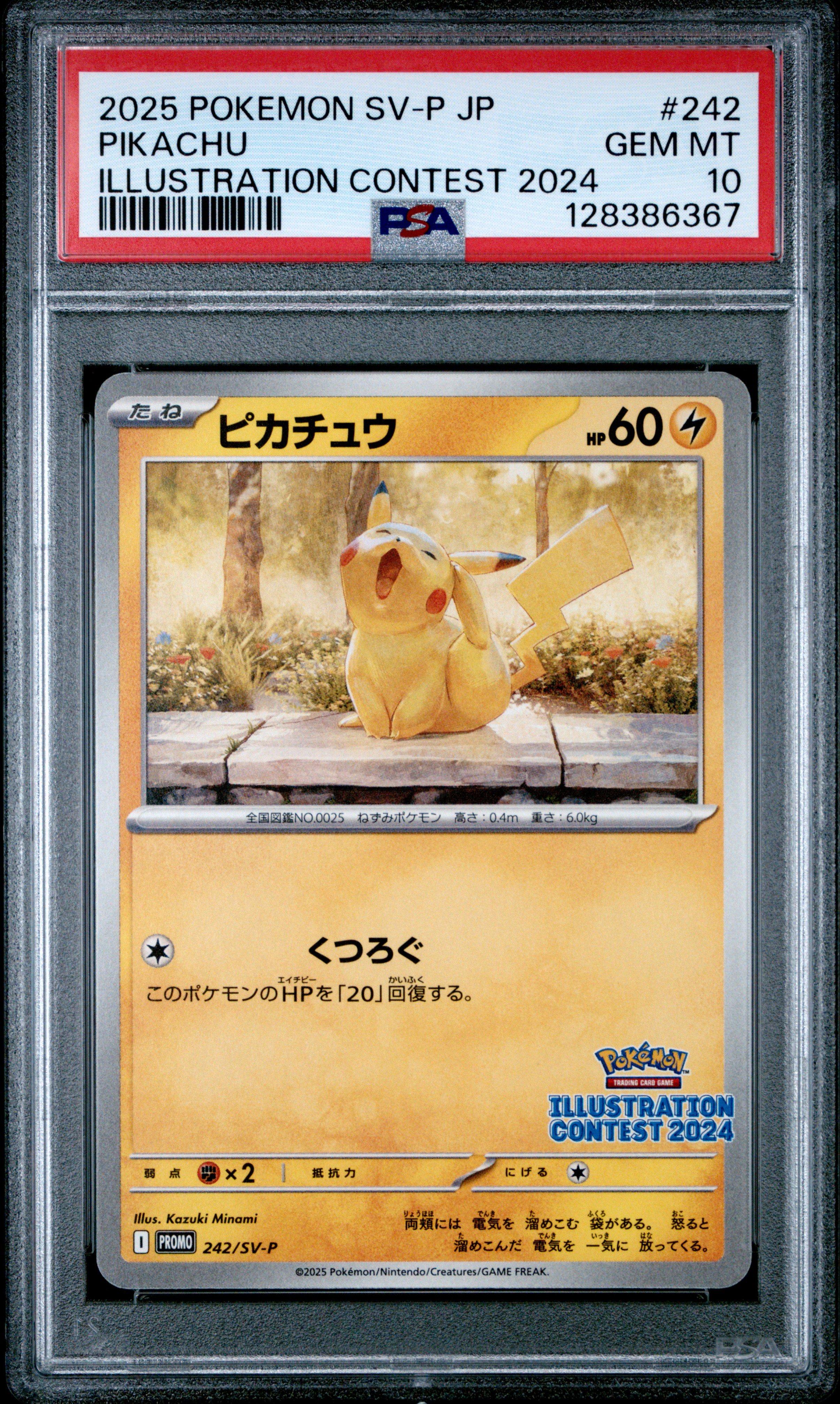 2025 Pokemon Japanese Sv-p Promo 242 Pikachu Illustration Contest