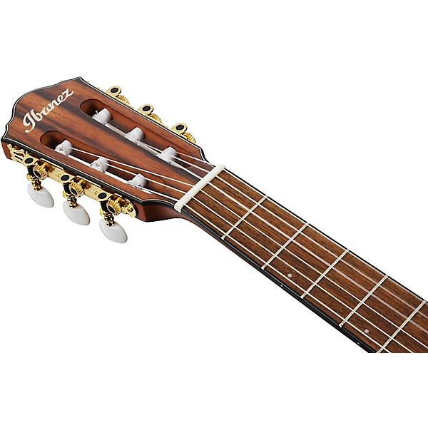 Ibanez FRH10N Nylon-String Acoustic-Electric Guitar - Brown