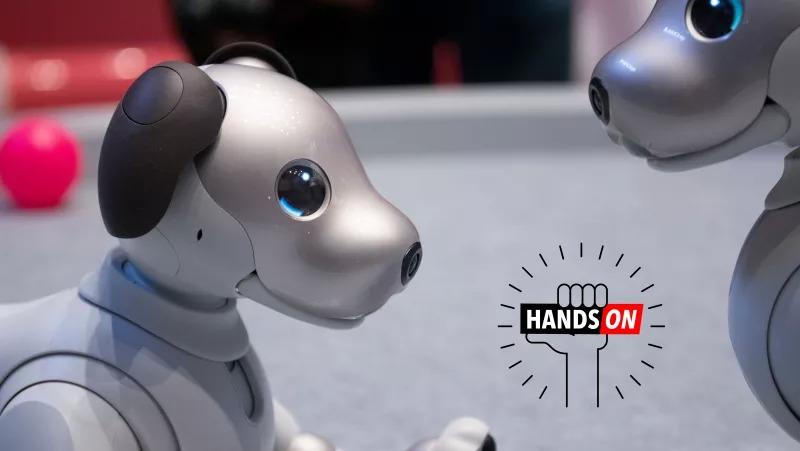 まだ子犬だから｣っていうのは違くない？：ソニーaiboのハンズオン
