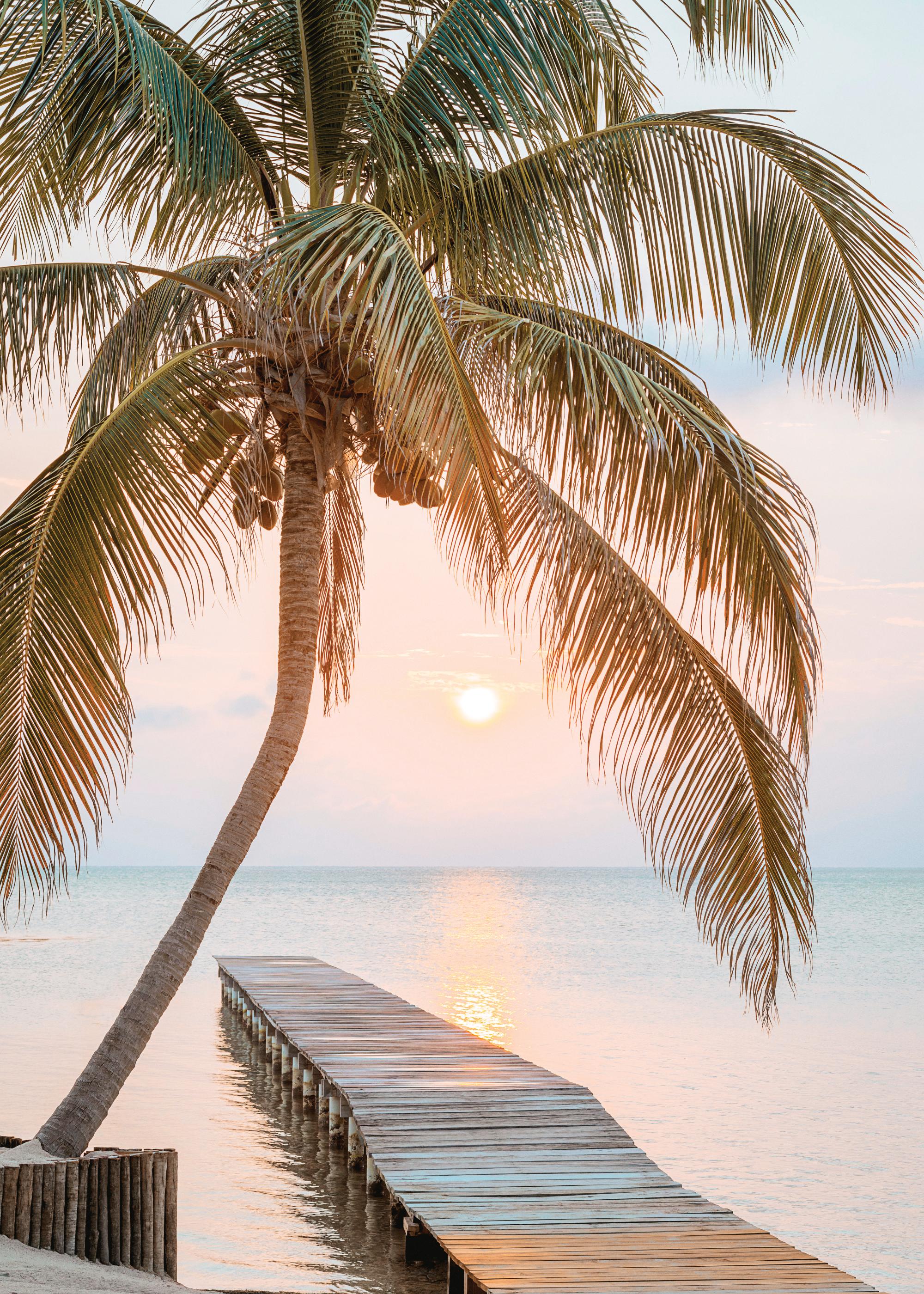 Tropical Jetty Poster with Sunset Calm | Poster Store CA