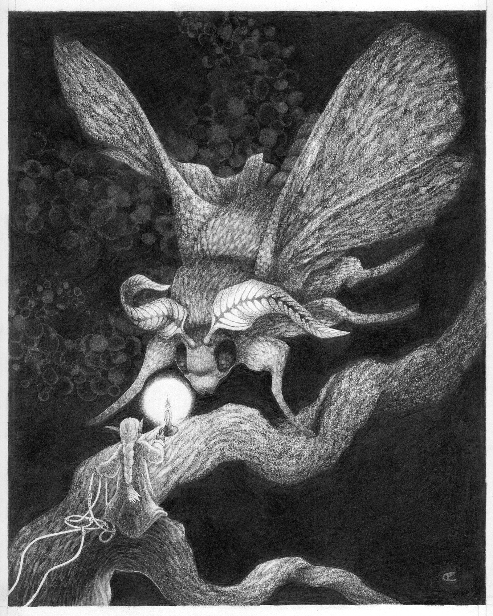Moth Girl – 11×14 Editioned Print 🥇 - Meadowlark Imageworks