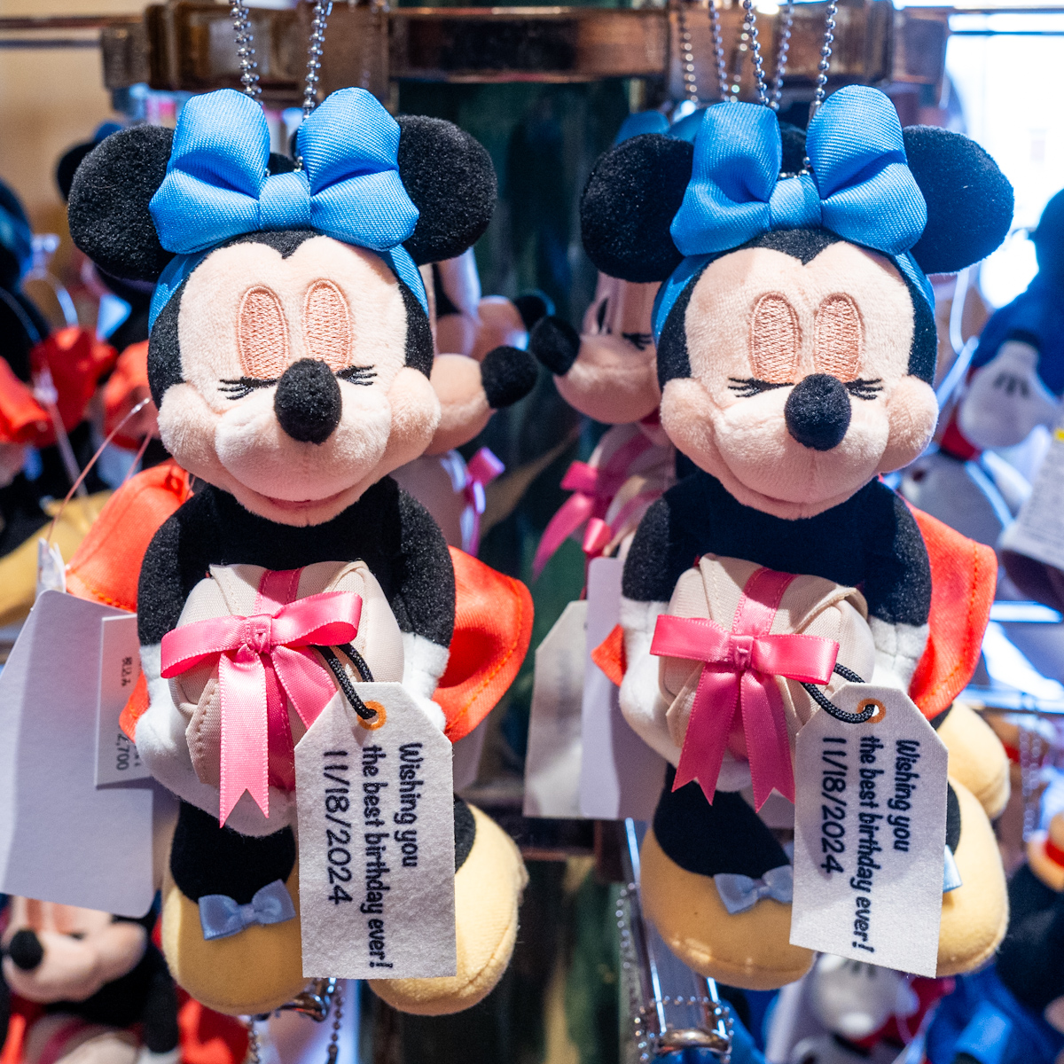 東京ディズニーリゾート30周年限定 ぬいばセット ミッキー ミニー 希少
