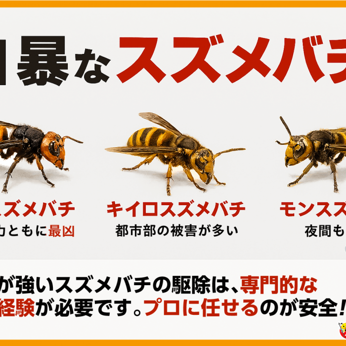 危険度順】スズメバチの種類を写真で特定！巣作り初期の駆除費用と安全