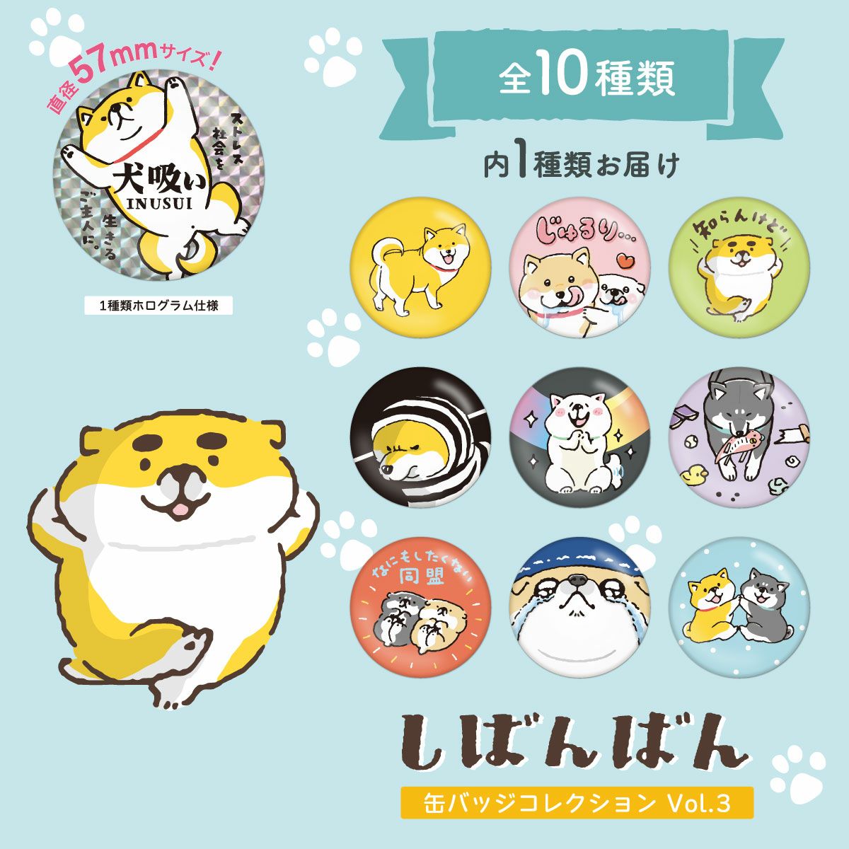 オンラインストア＆催事限定 10種トレーディング 缶バッジ しばんばん