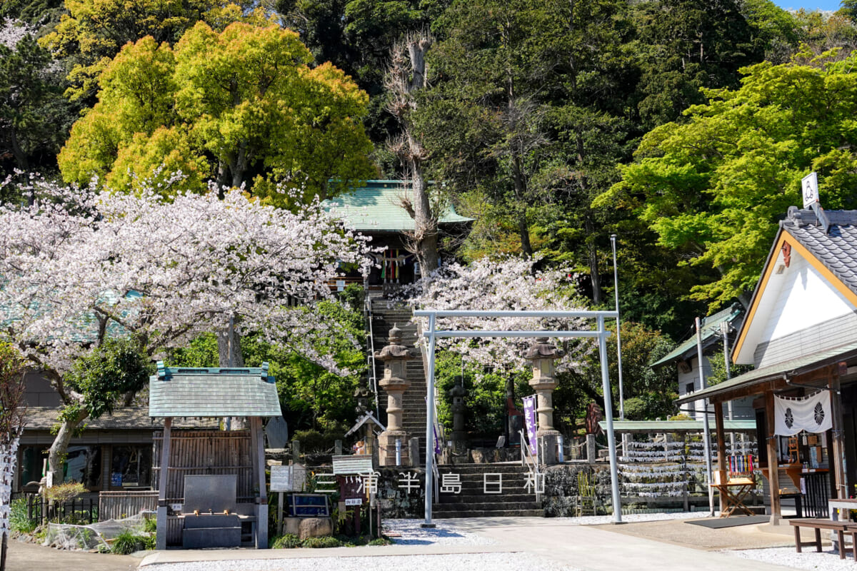 走水神社 | 日本武尊と弟橘媛命を祀る横須賀屈指のパワースポット