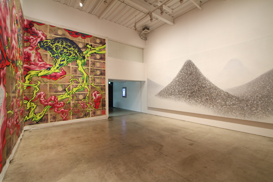 1005_AidaMakoto - MIZUMA ART GALLERY