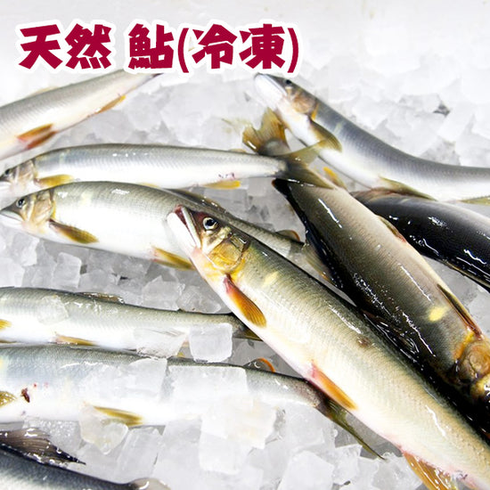 四万十川天然 鮎（冷凍）Sサイズ ／1匹約70g～90g 個包装 – 森徳蔵.com