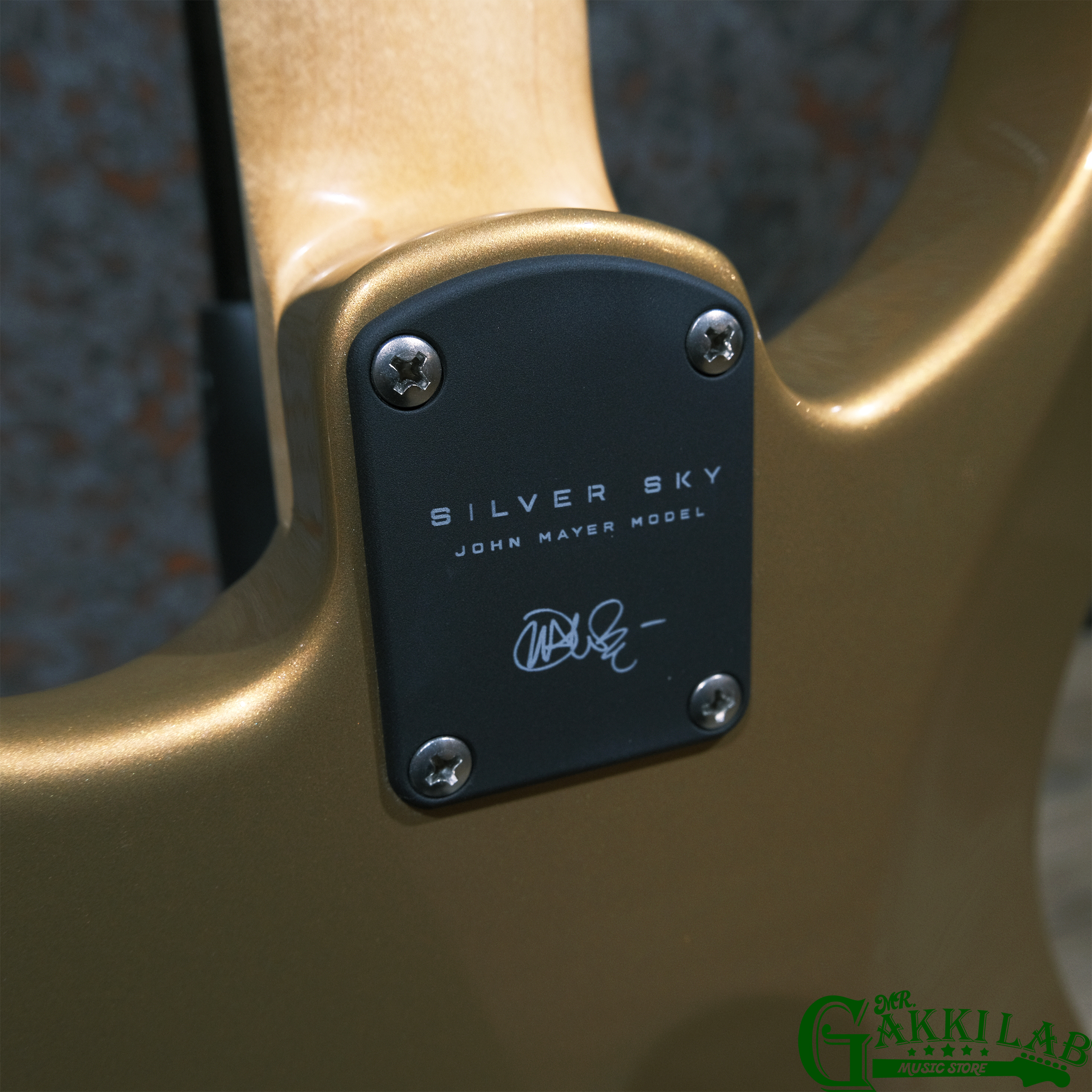 Paul Reed Smith(PRS) Silver Sky Golden Mesa (Rosewood) | 札幌の