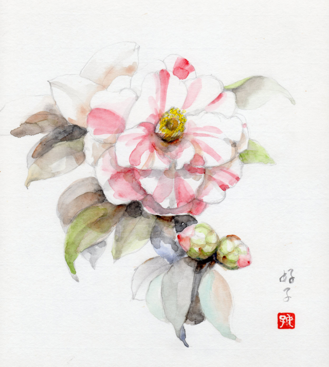 椿（白）」水彩画（絵寸270×240・額寸354×384mm）志村好子