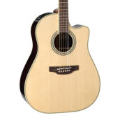 Takamine PTU841C N｜ミュージックランドKEY